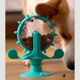 Pet Play & Feed Wheel